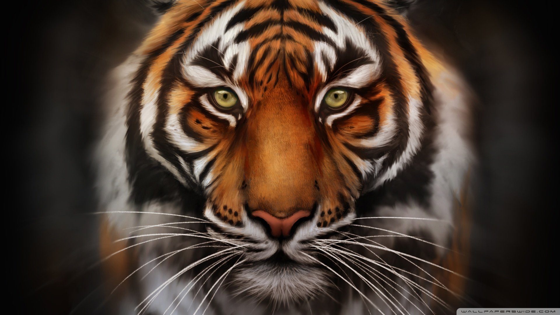 Detail Tiger Wallpaper High Resolution Nomer 16