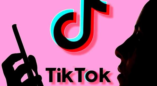 Detail Tik Tok Download Nomer 47