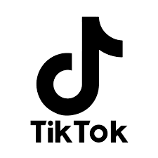 Detail Tik Tok Png Logo Download Nomer 35
