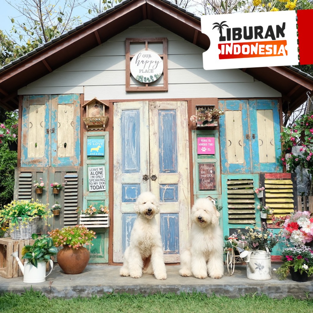 Detail Tiket Masuk Ke Rumah Guguk Nomer 35