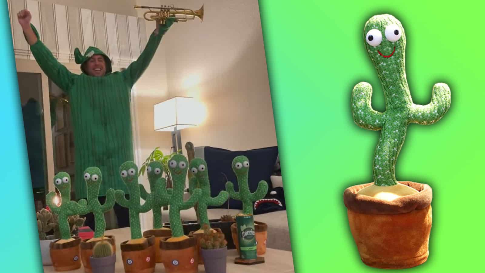 Tiktok Dancing Cactus - KibrisPDR