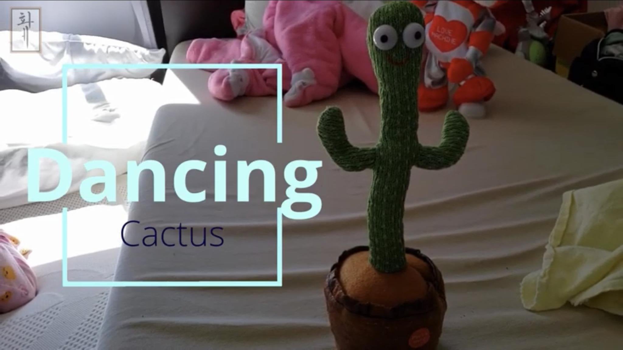 Detail Tiktok Dancing Cactus Nomer 13