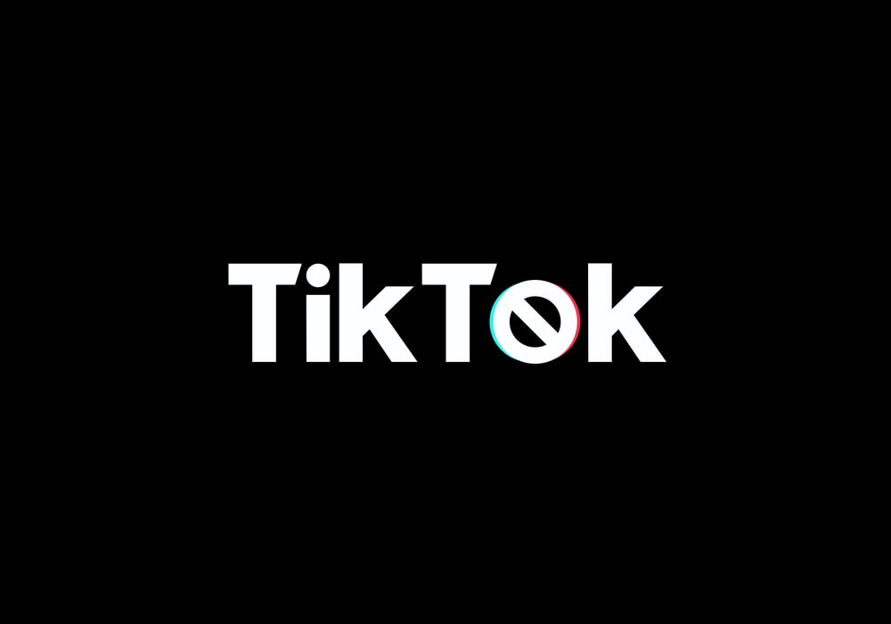 Download Tiktok Picture Logo Nomer 16