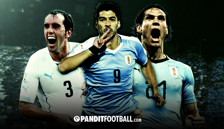 Detail Tim Nasional Sepak Bola Uruguay Nomer 29