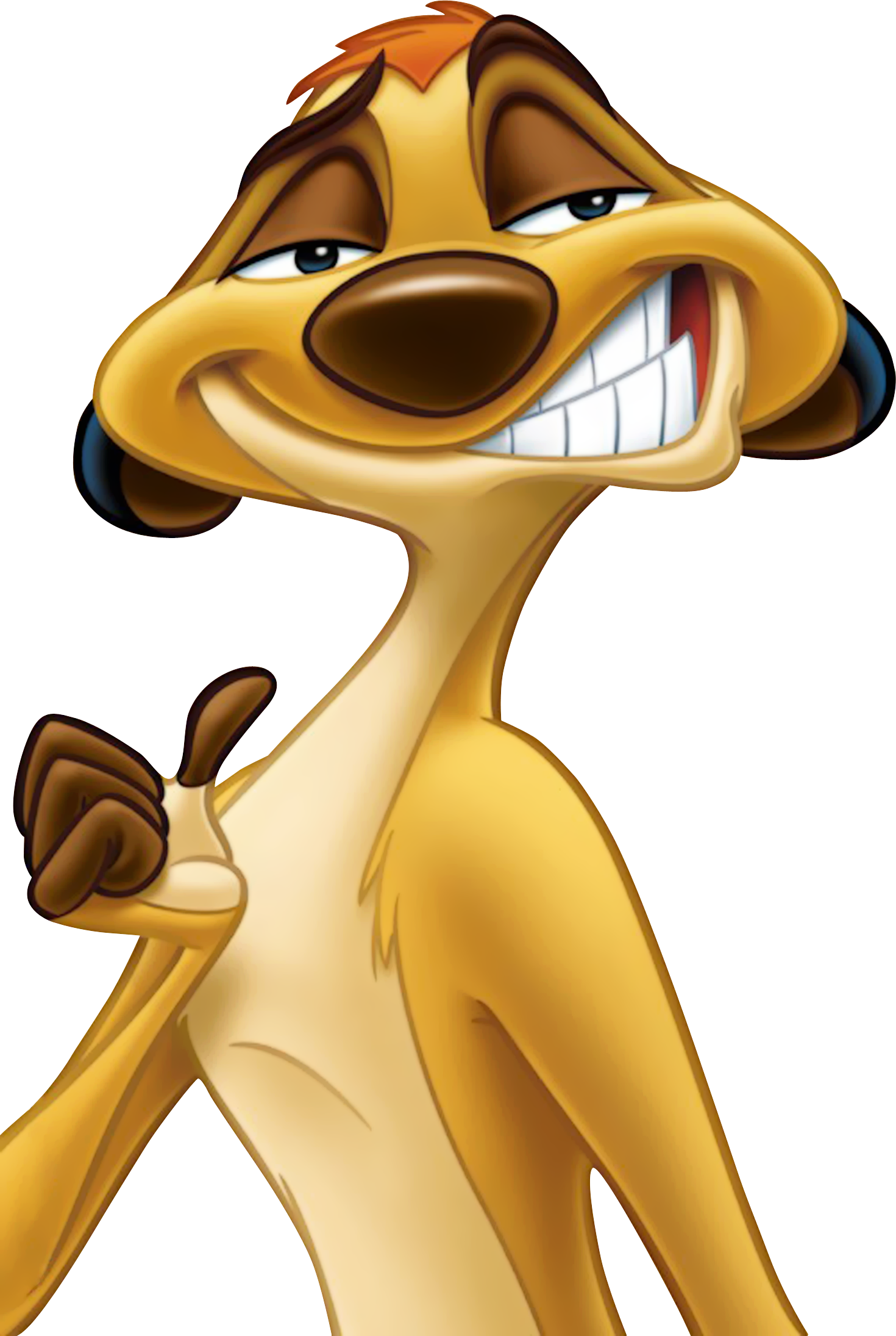 Detail Timon Pics Nomer 5