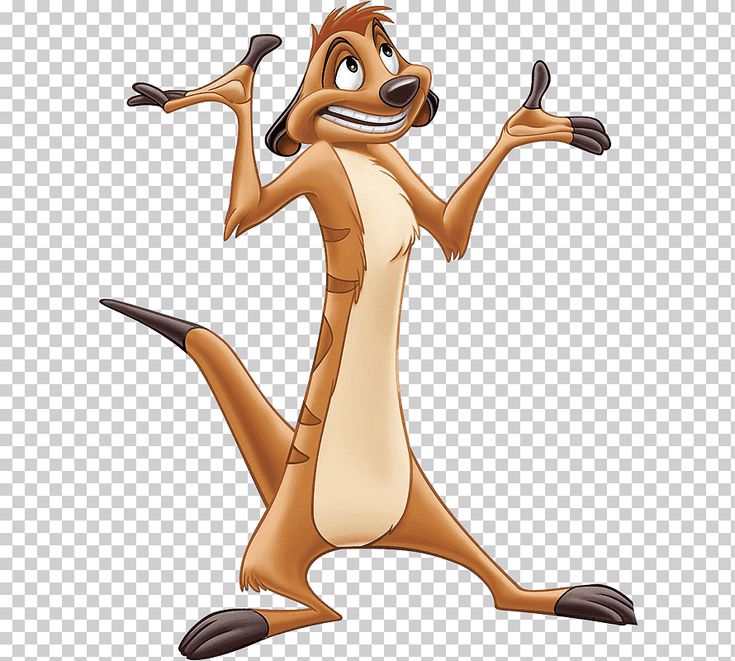 Detail Timon Picture Nomer 15