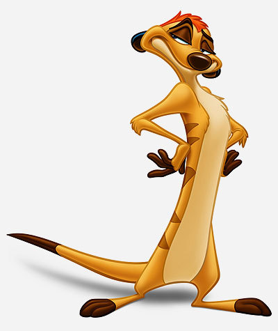 Detail Timon Picture Nomer 3