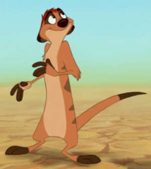 Detail Timon Picture Nomer 4