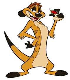 Detail Timon Picture Nomer 5