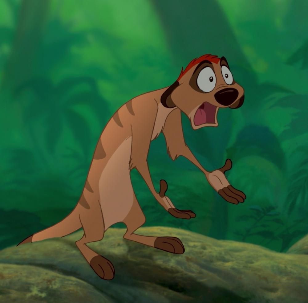 Detail Timon Picture Nomer 9
