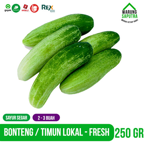 Detail Timun Buah Atau Sayur Nomer 45