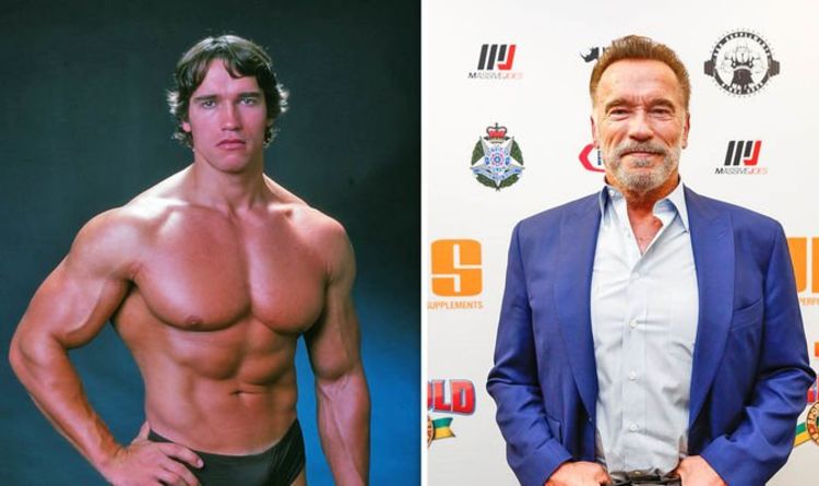 Detail Tinggi Badan Arnold Schwarzenegger Nomer 7