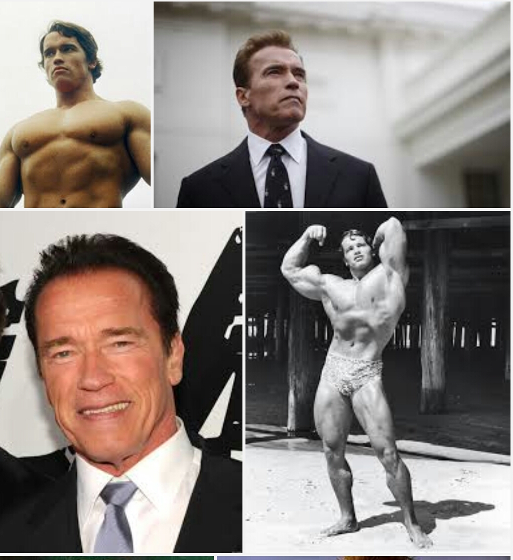 Detail Tinggi Badan Arnold Schwarzenegger Nomer 6