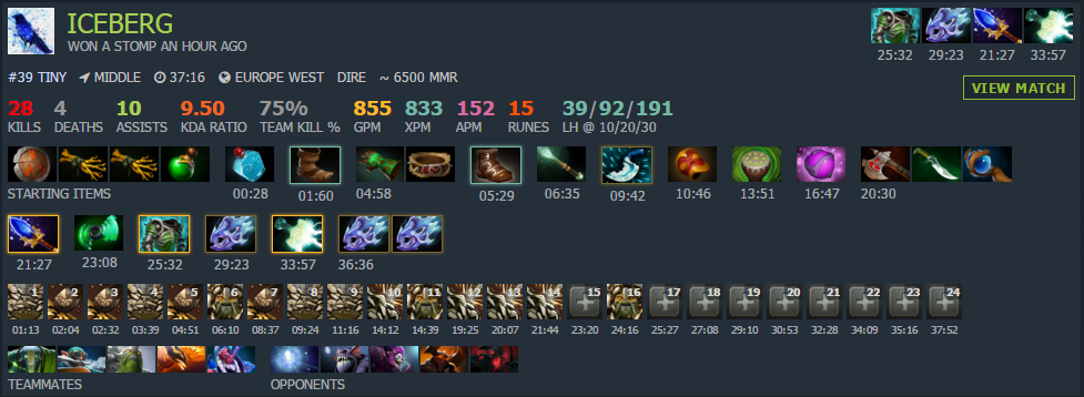 Detail Tiny Dota 1 Nomer 27