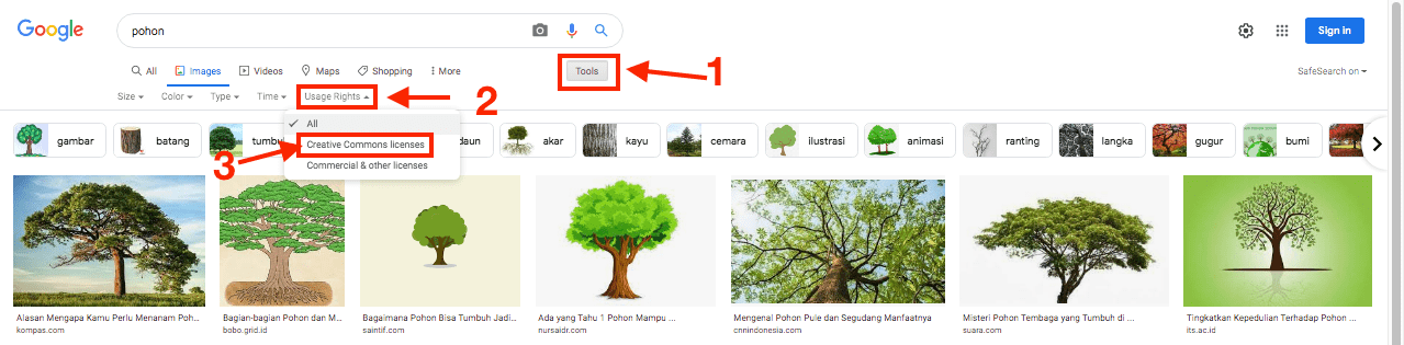 Detail Tips Aman Mengambil Gambar Di Google Nomer 26