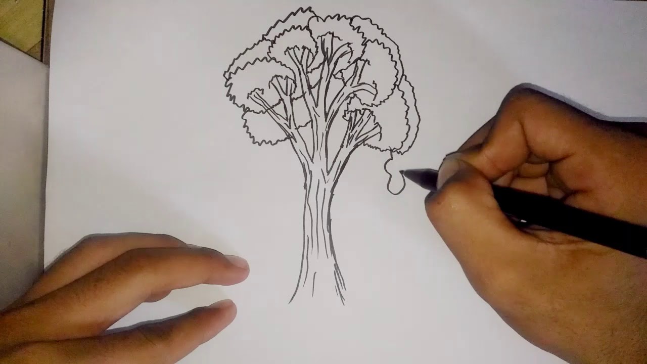 Detail Tips Menggambar Pohon Psikotes Nomer 22