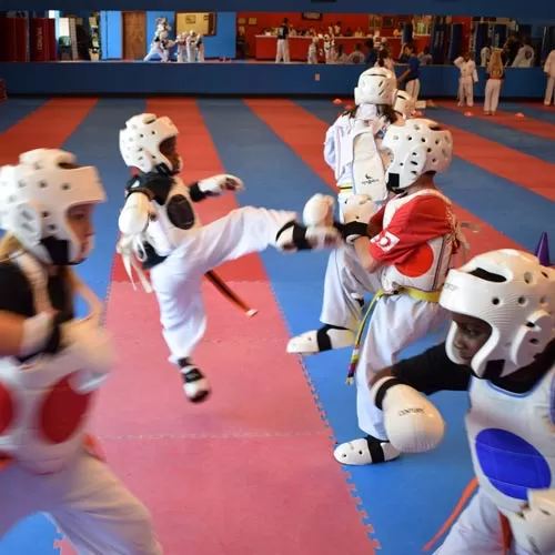 Detail Tkd Images Nomer 31