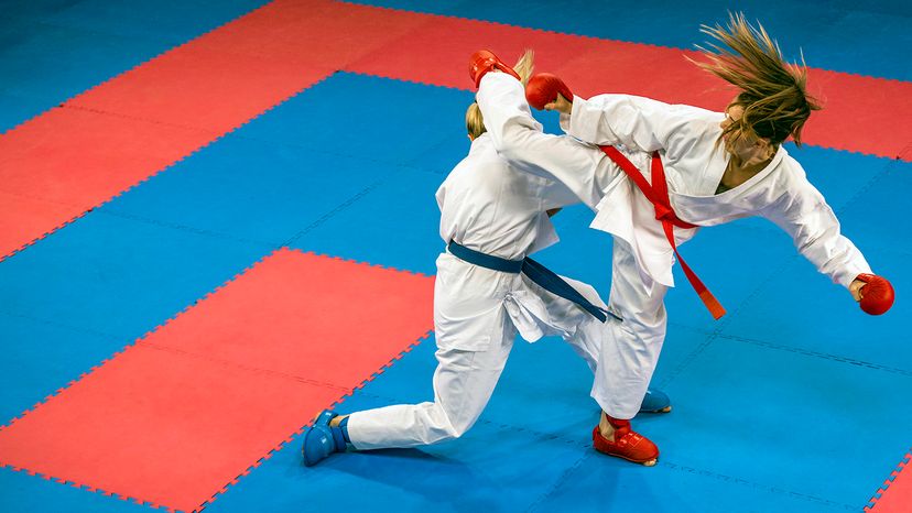 Detail Tkd Pics Nomer 10