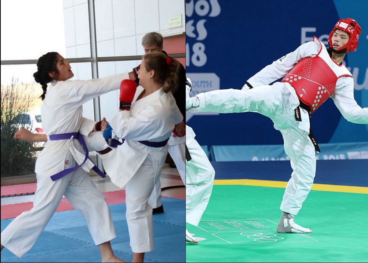 Detail Tkd Pics Nomer 35