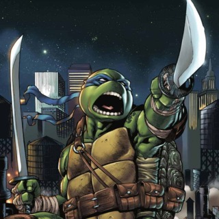 Detail Tmnt Names And Pictures Nomer 50