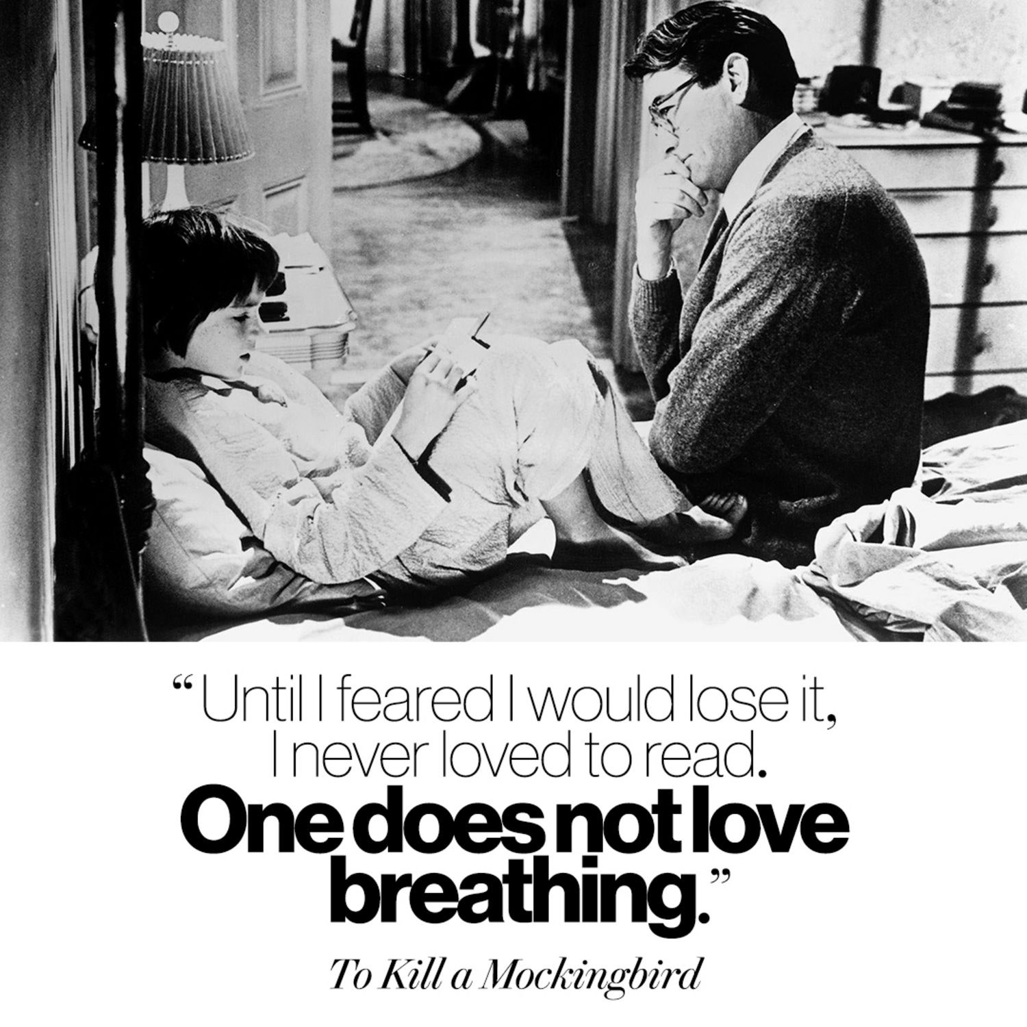 Detail To Kill A Mockingbird Quotes Nomer 13