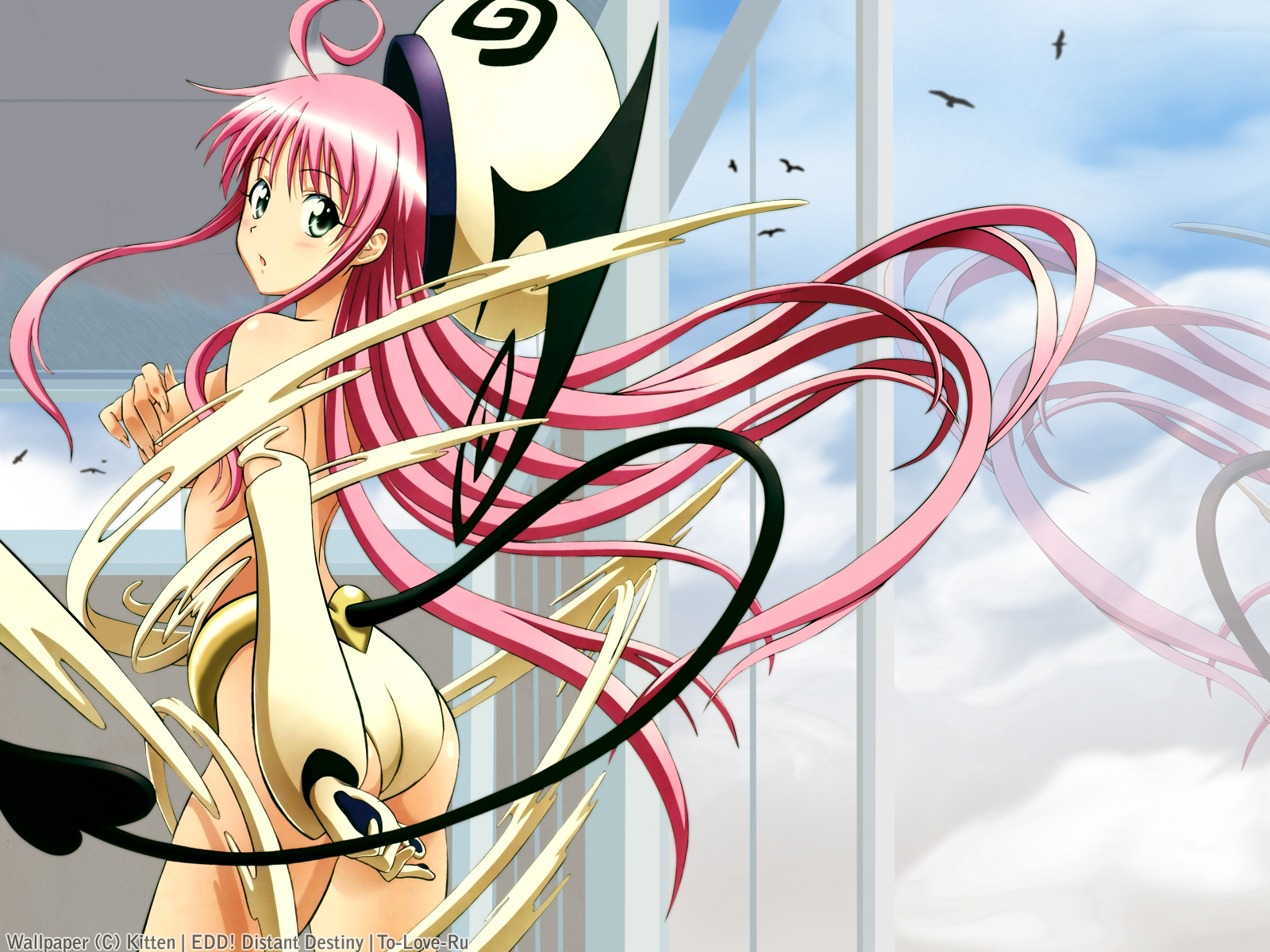 Detail To Love Ru Wallpaper Nomer 27