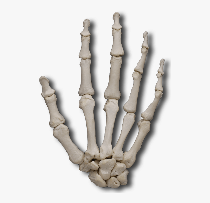 Detail To The Bone Download Nomer 9