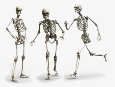 Detail To The Bone Download Nomer 14