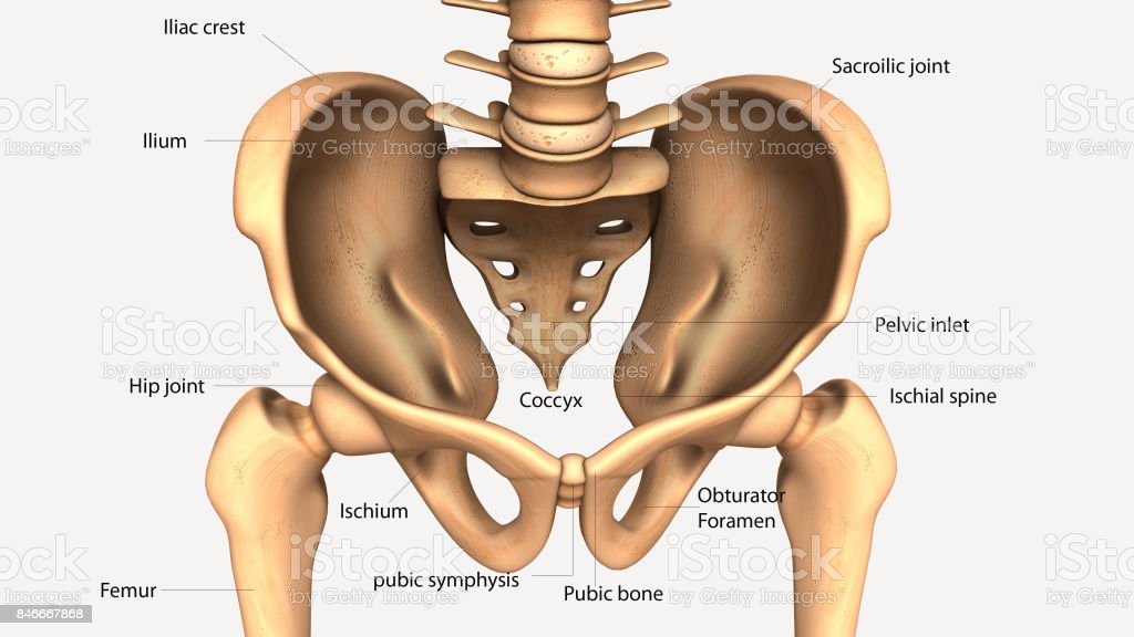 Detail To The Bone Download Nomer 15
