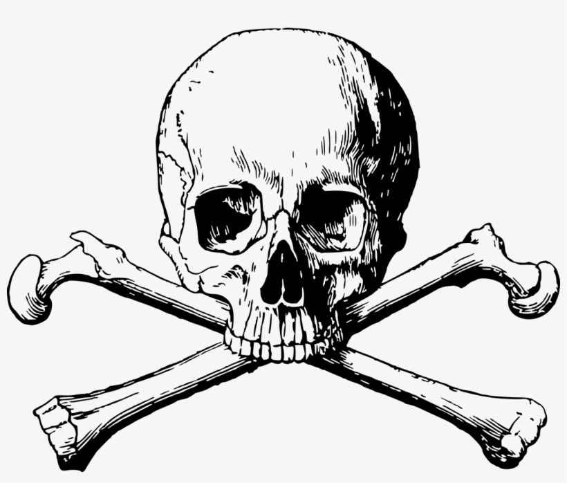Detail To The Bone Download Nomer 17