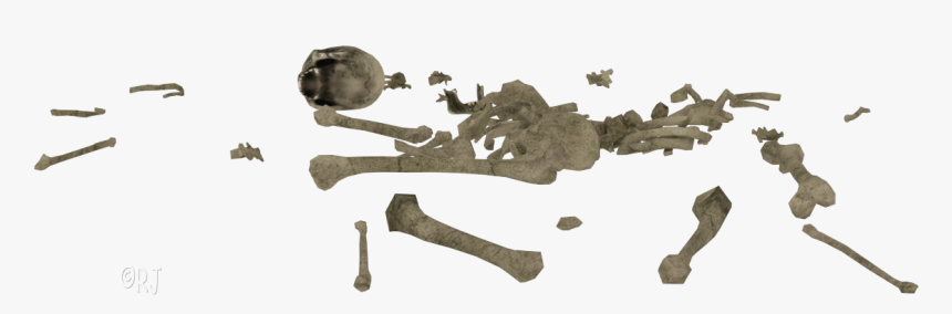 Detail To The Bone Download Nomer 22