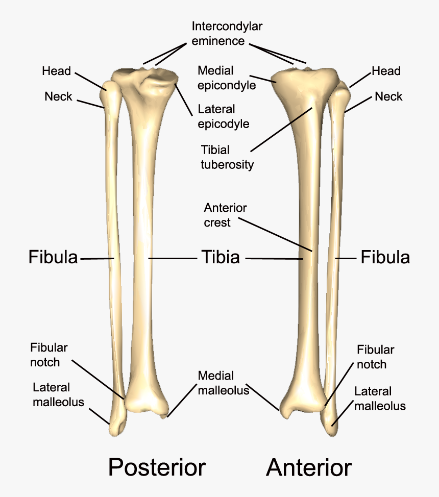 Detail To The Bone Download Nomer 7
