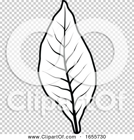 Detail Tobacco Leaf Clip Art Nomer 12