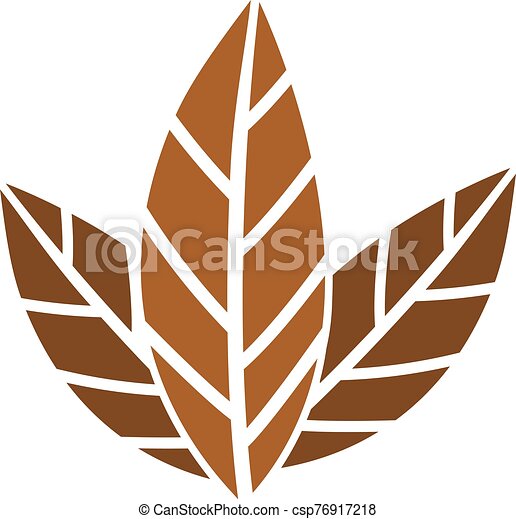 Detail Tobacco Leaf Clip Art Nomer 24