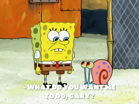 Detail Todd Squarepants Nomer 31