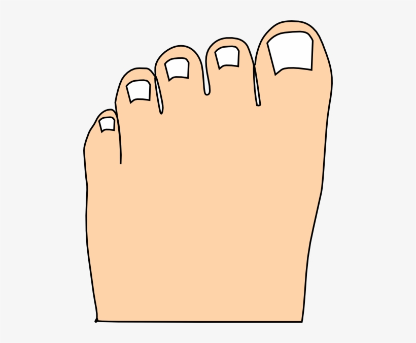 Detail Toes Png Nomer 15