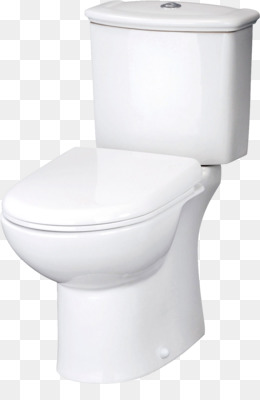 Detail Toilet Seat Png Nomer 10