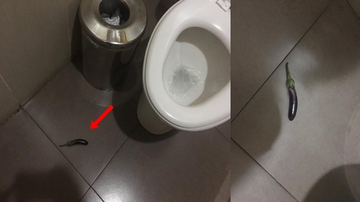 Detail Toilet Umum Wanita Nomer 9