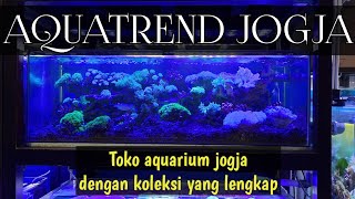 Detail Toko Aquarium Di Jogja Nomer 13
