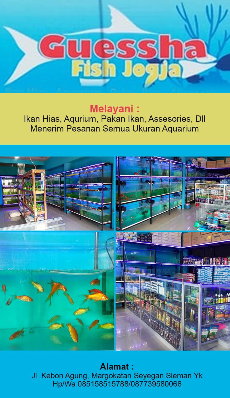 Detail Toko Aquarium Di Jogja Nomer 34