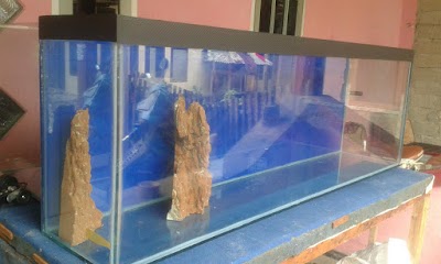 Detail Toko Aquarium Di Padang Nomer 14