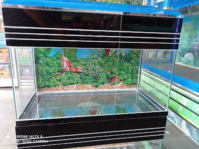 Detail Toko Aquarium Di Padang Nomer 17