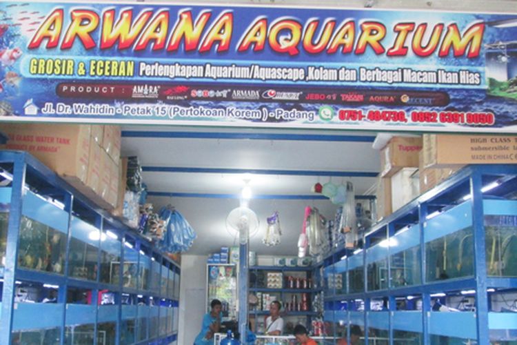 Toko Aquarium Di Padang - KibrisPDR