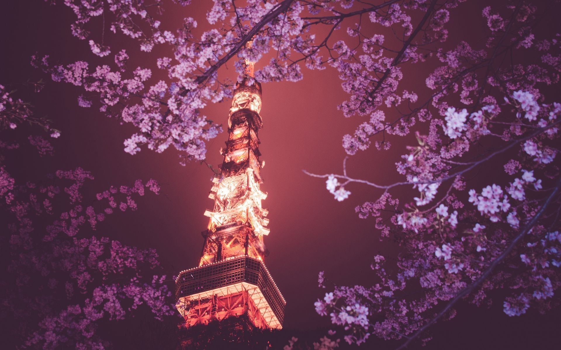 Detail Tokyo Tower Wallpaper Nomer 28