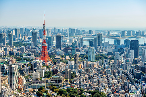 Detail Tokyo Tower Wallpaper Nomer 29