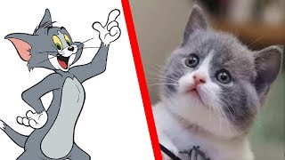 Detail Tom And Jerry Characters Nomer 37