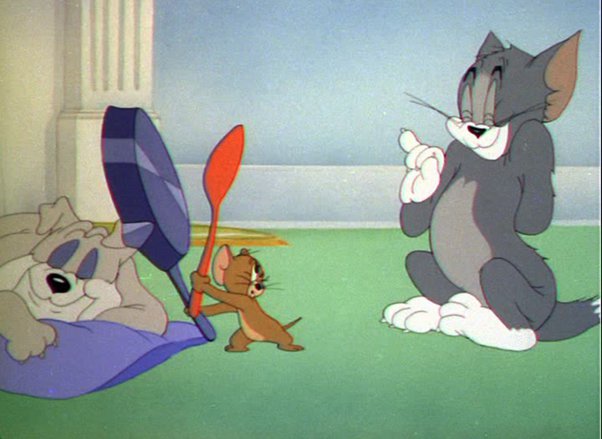 Detail Tom And Jerry Funny Pics Nomer 18