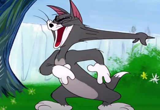 Detail Tom And Jerry Funny Pics Nomer 36