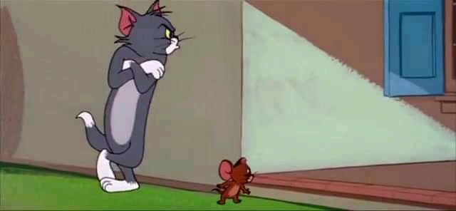 Detail Tom And Jerry Meme Template Nomer 48