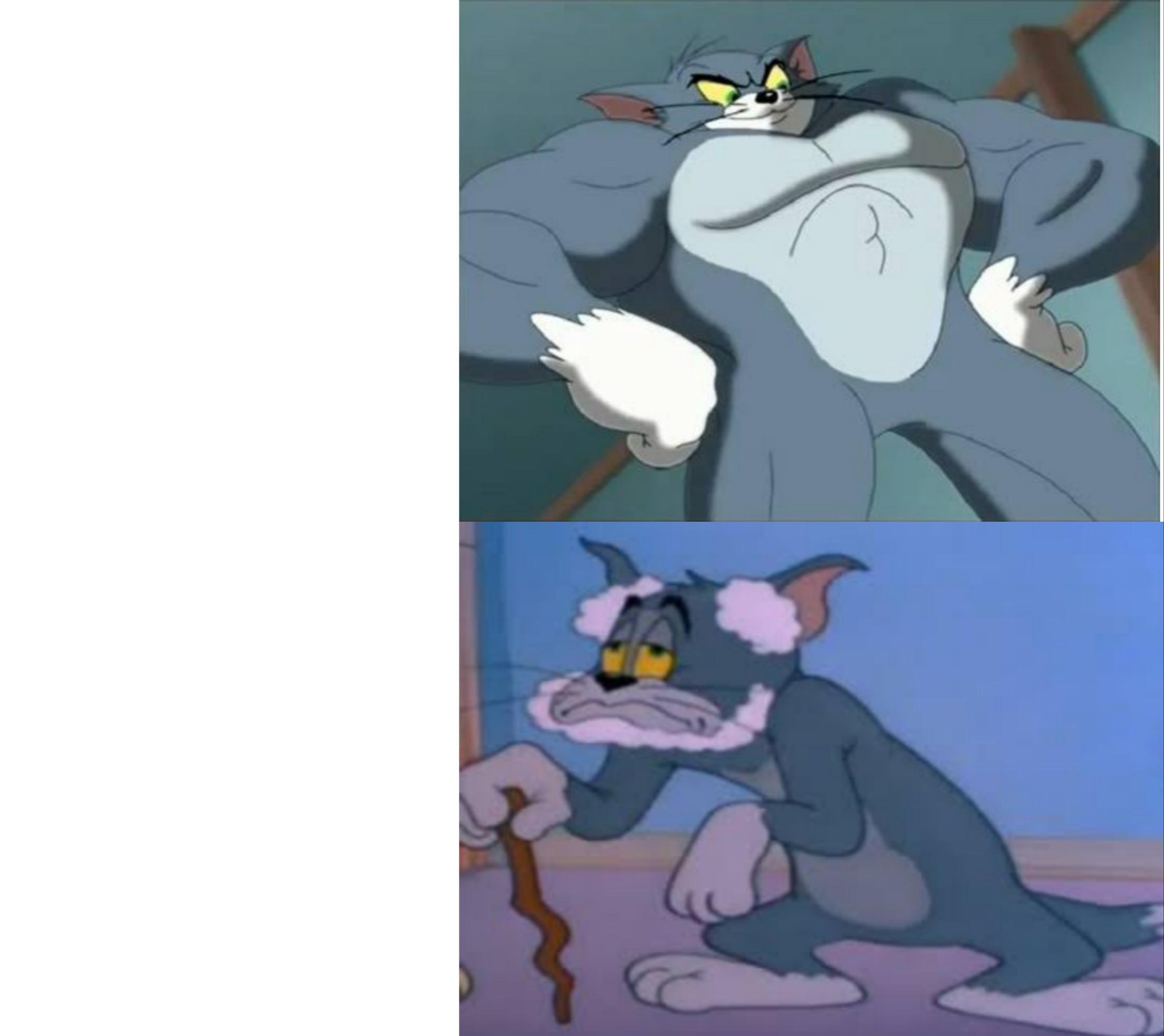 Detail Tom And Jerry Meme Template Nomer 55